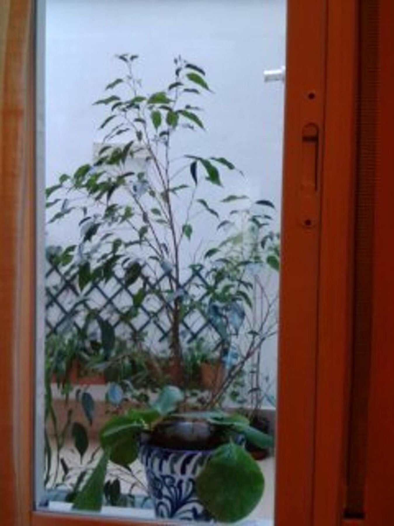 With 3 Bedrooms In Granada, With Wonderful View And Wif Grenade